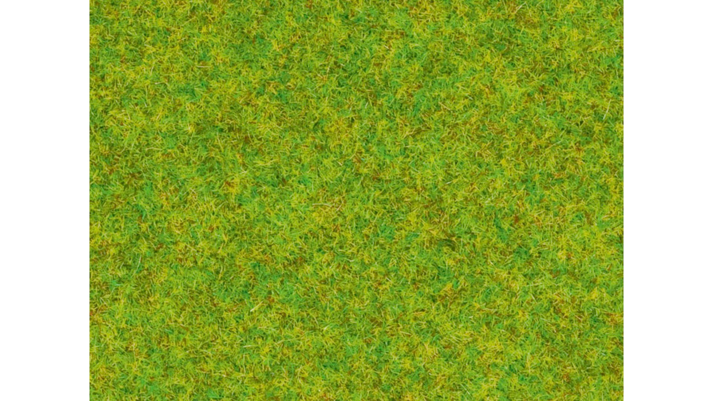 Noch 08300 Scatter Grass Spring Meadow