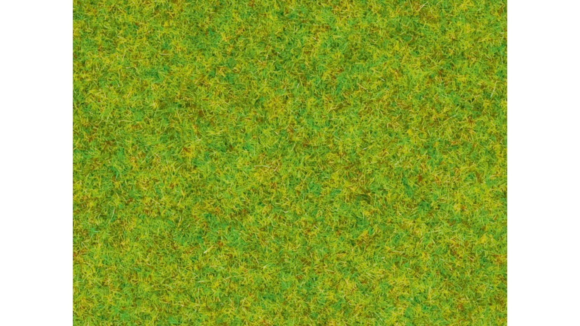 Noch 08300 Scatter Grass Spring Meadow