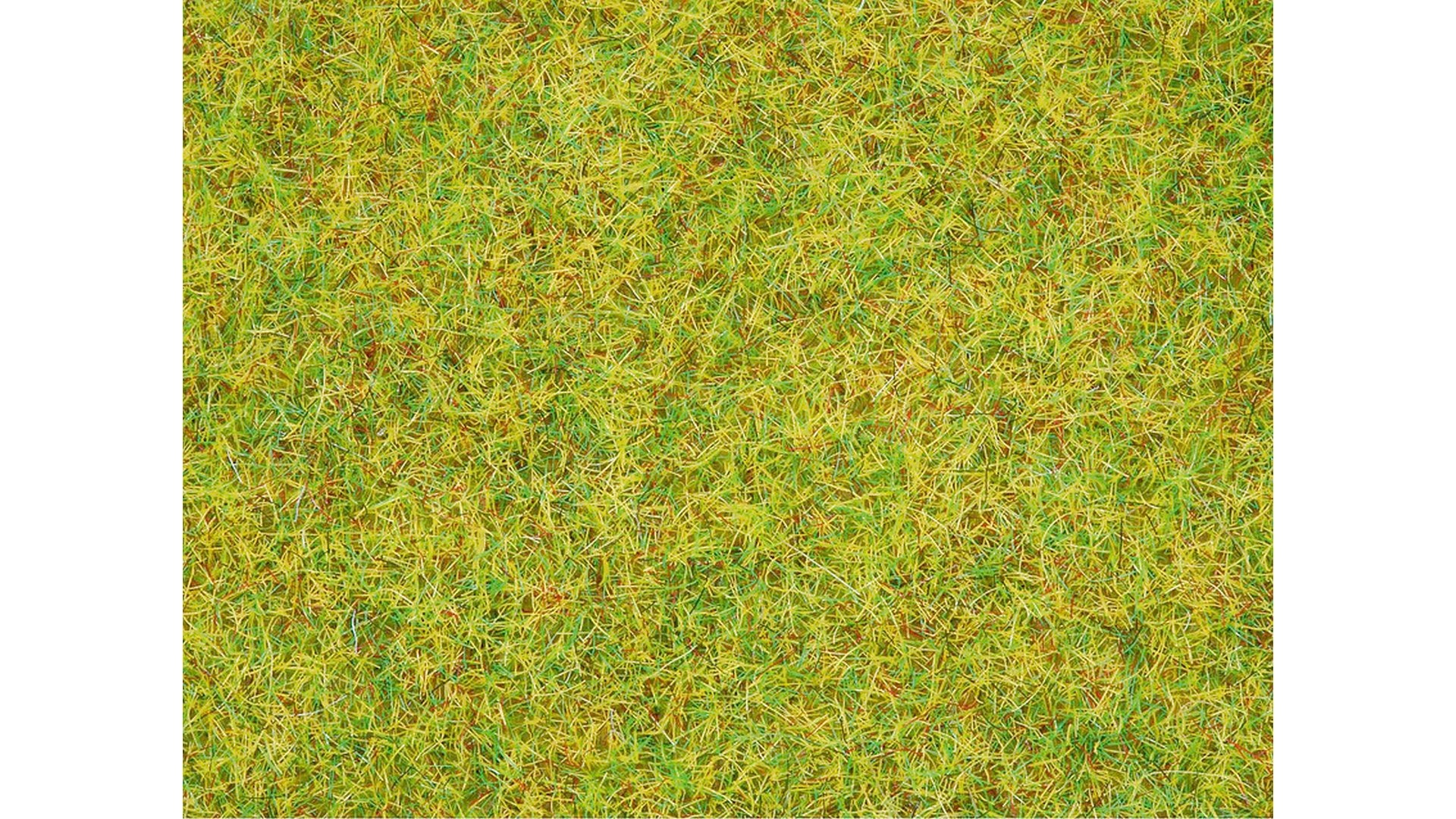 Noch 08310 Scatter Grass Summer Meadow