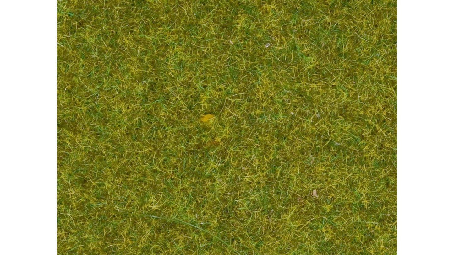 Noch 08312 Scatter Grass Meadow