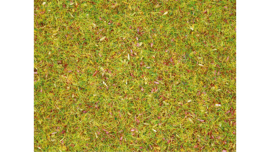 Noch 08330 Scatter Grass Flower Meadow