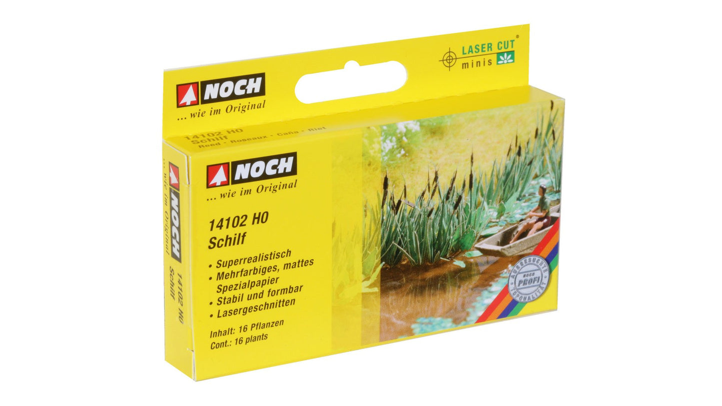 NOCH NO14102 Reed