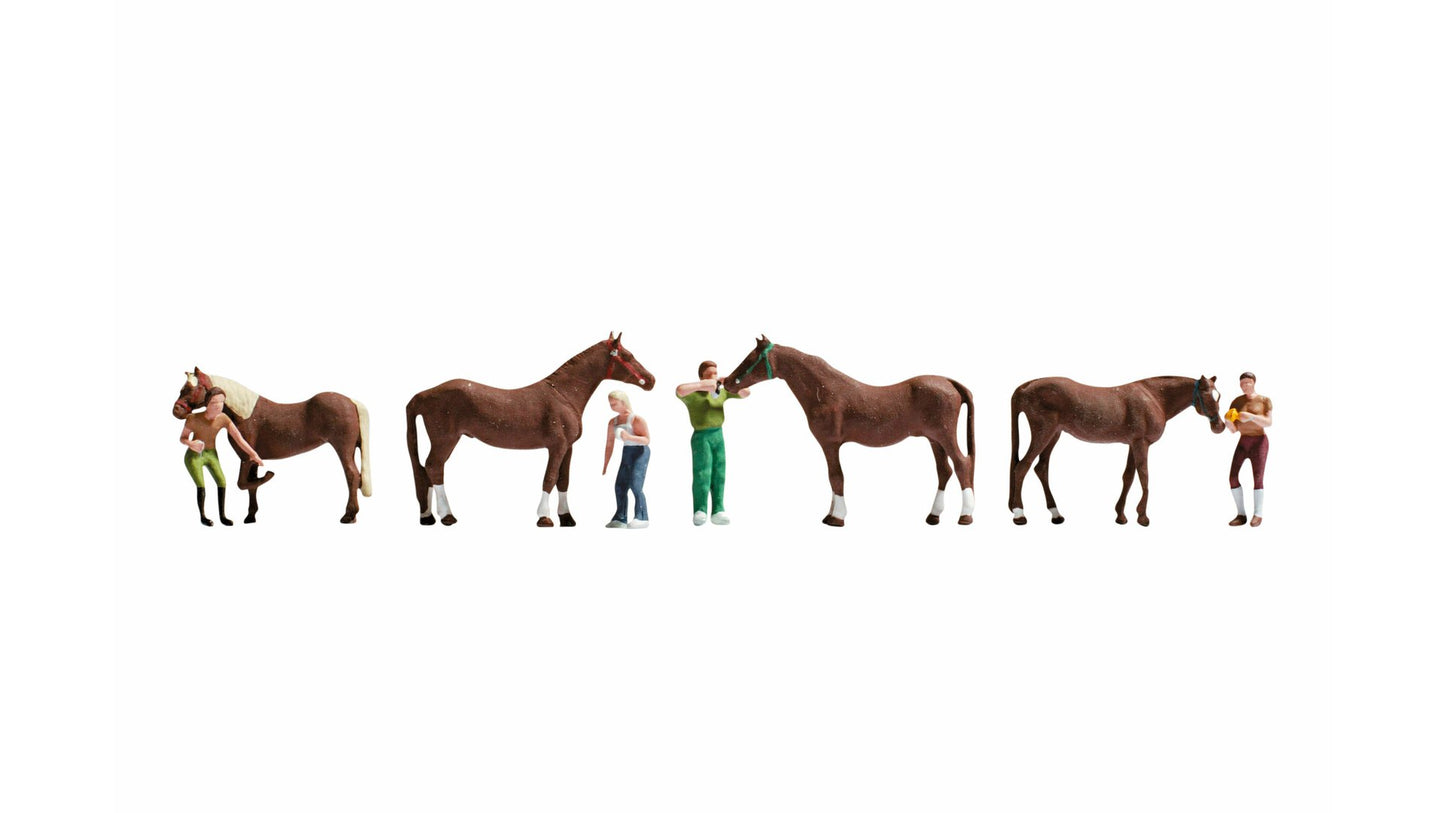 NOCH NO15632 Horse Care