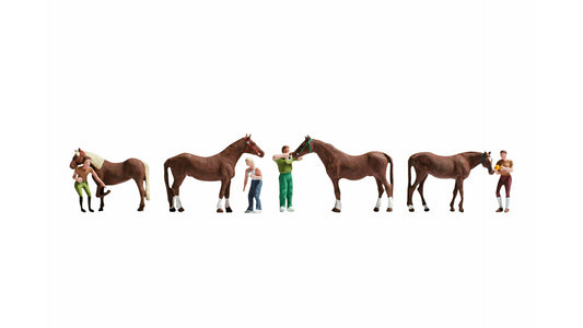 NOCH NO15632 Horse Care