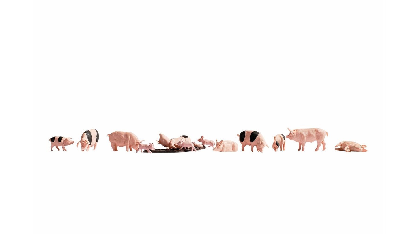 NOCH NO15712 Pigs
