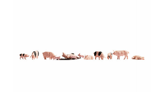 NOCH NO15712 Pigs
