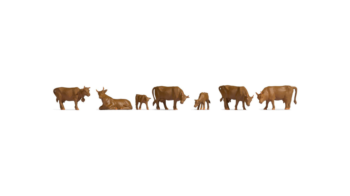NOCH NO18216 Cows, Brown