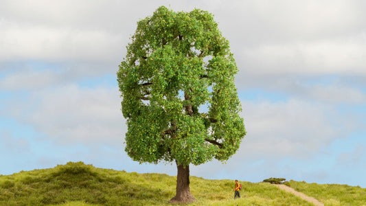 NOCH NO20100 Ash Tree