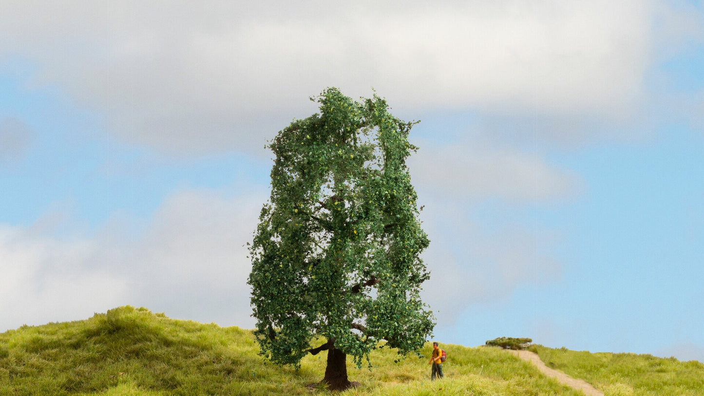 NOCH NO20110 Oak