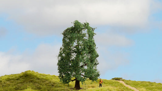 NOCH NO20110 Oak