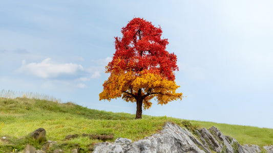 NOCH NO20114 Oak Tree, autumnal