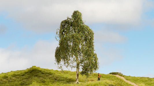 NOCH NO20120 Silver Birch Tree
