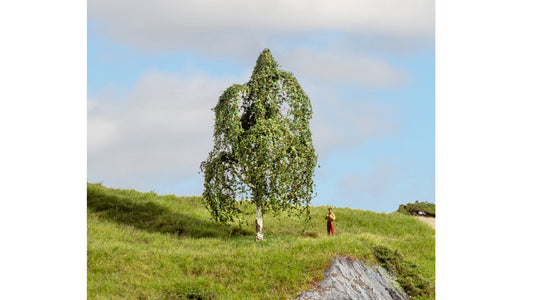 NOCH NO20121 Silver Birch Tree
