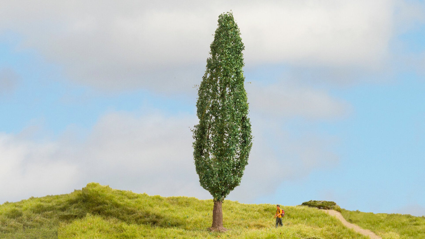 NOCH NO20130 Poplar