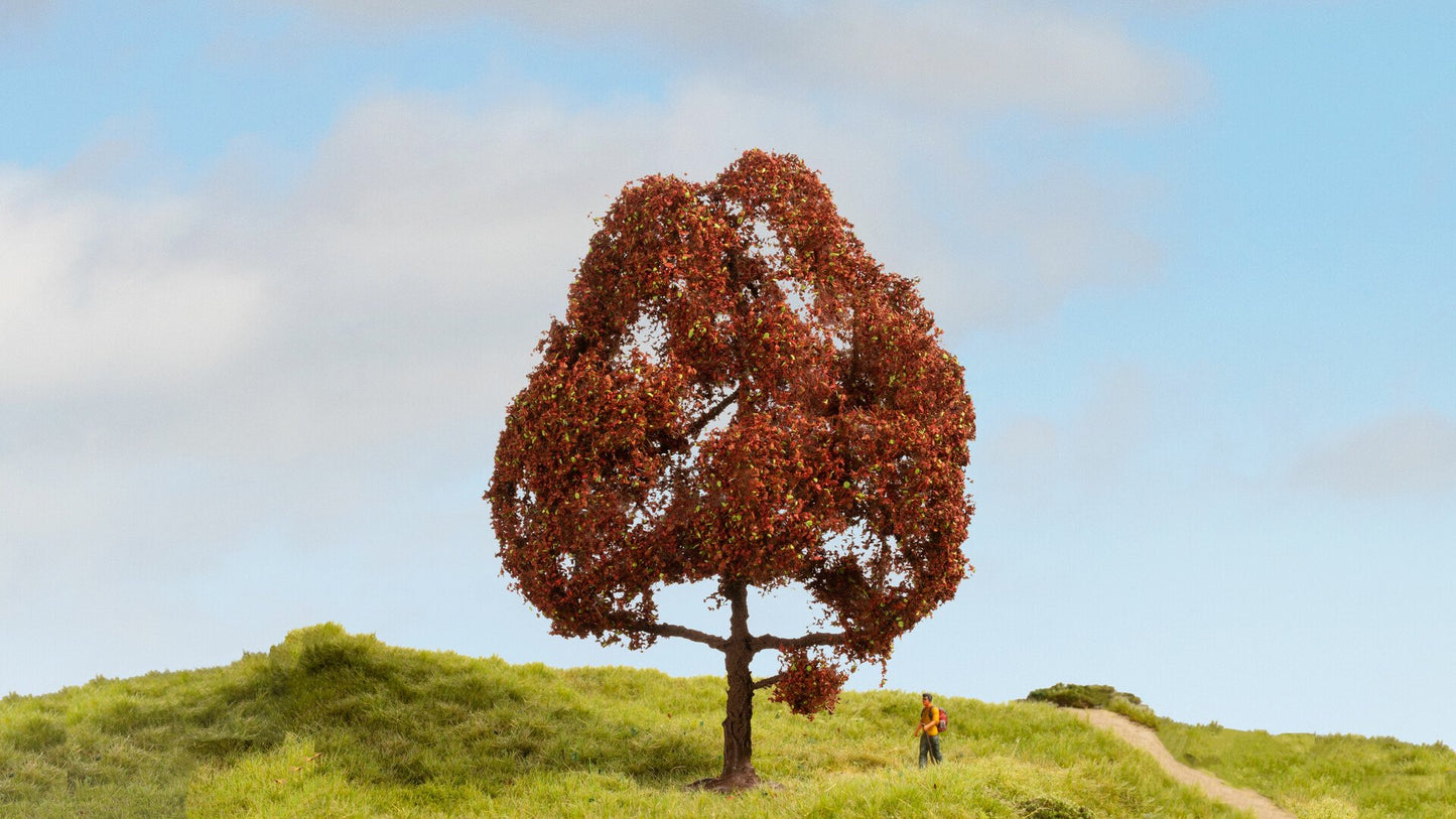 NOCH NO20150 Copper Beech
