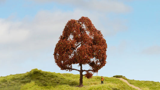 NOCH NO20150 Copper Beech