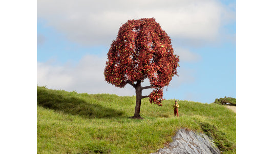 NOCH NO20151 Copper Beech