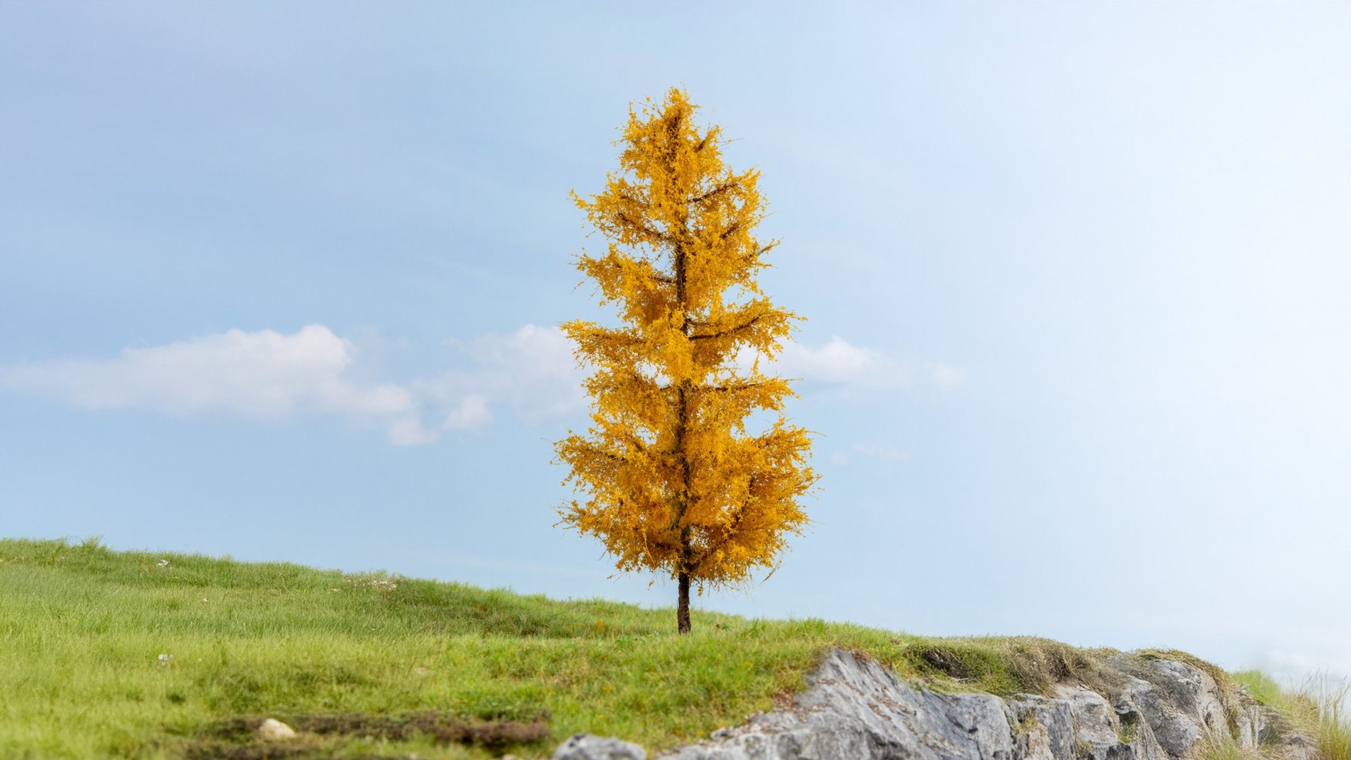 NOCH NO20167 Larch, autumnal