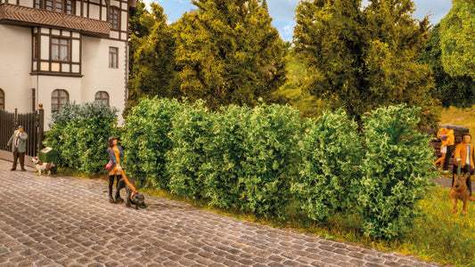 NOCH NO21547 Thuja Hedge