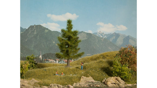 NOCH NO21815 Spruce Tree