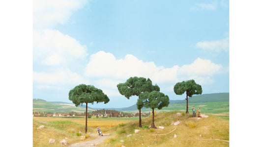 NOCH NO21992 Stone Pines