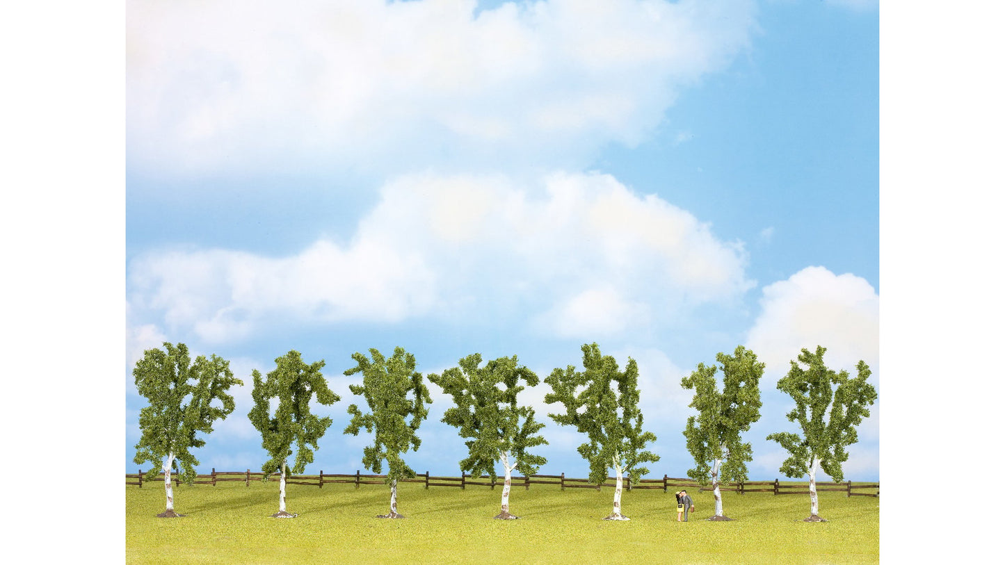 NOCH NO25096 Birch Trees