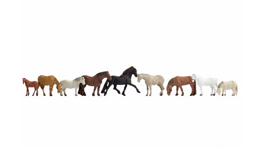 NOCH NO36761 Horses