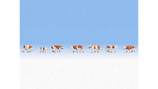 Noch NO44251 Cows brown-white for Z