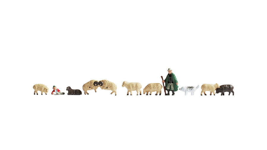 Animals