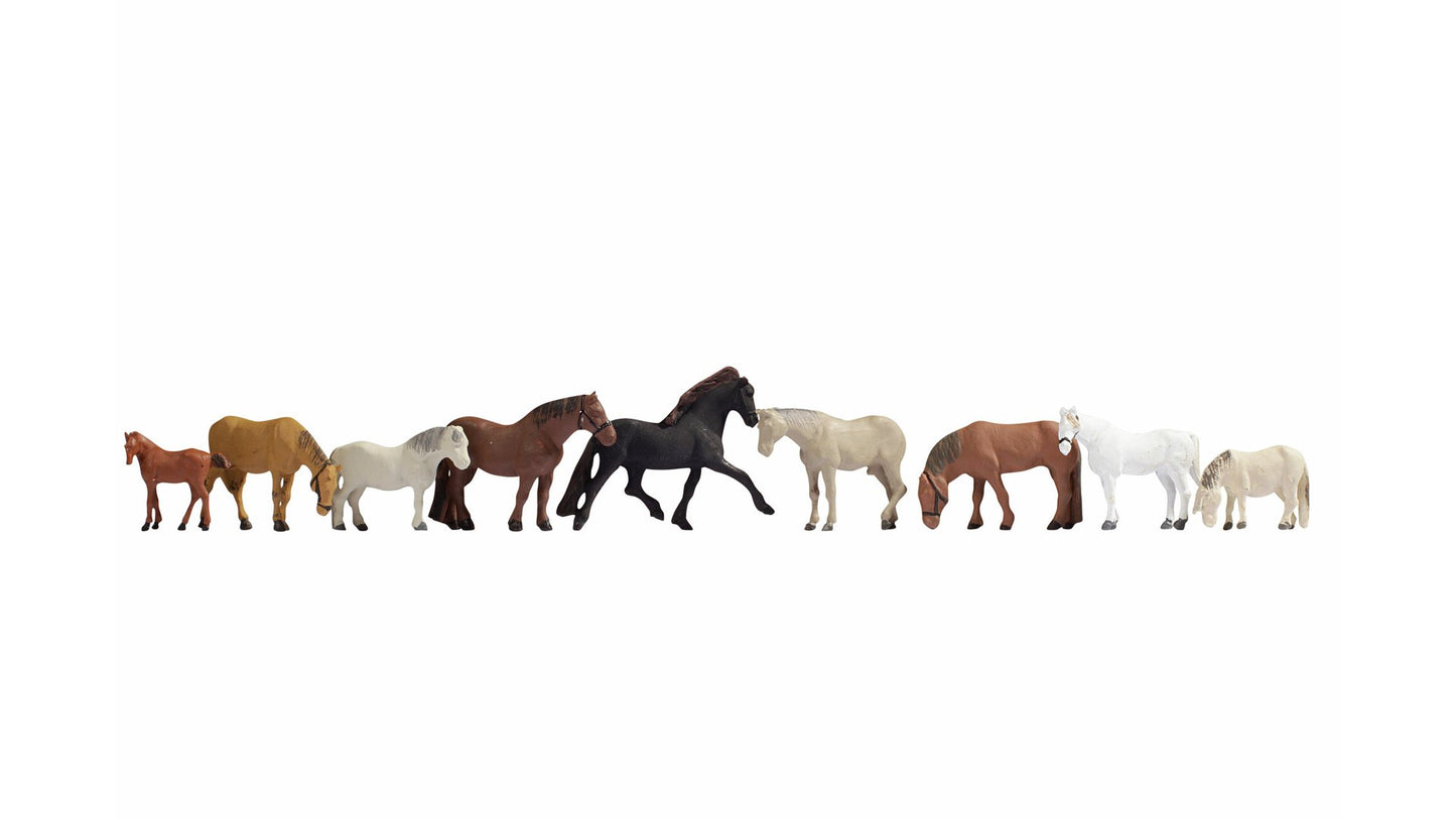 NOCH NO45761 Horses