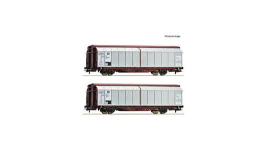 Roco 6600111 2 Piece Set Sliding Wall Wagons DB DC