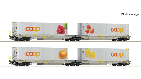 Roco R6600323 2-piece set 2: Articulated double-pocket wagon T2000, railCare